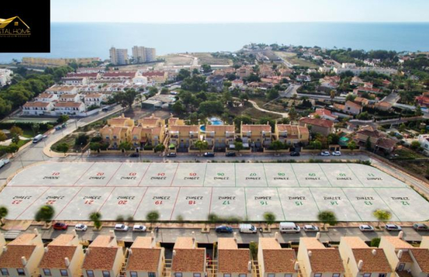 Wille w El Campello