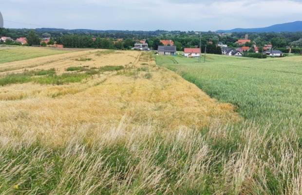 Działka inwestycyjna 0,83 Ha