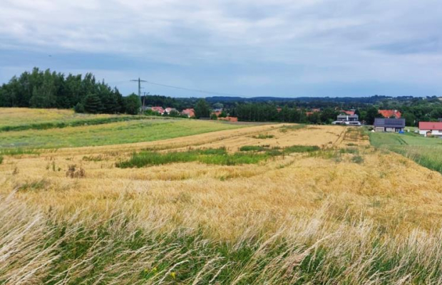 Działka inwestycyjna 0,83 Ha