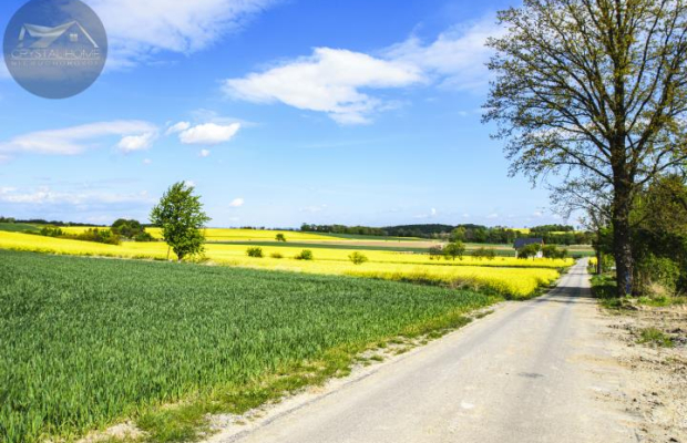 Działka na sprzedaż w miejscowości WIRKI - 2197M2