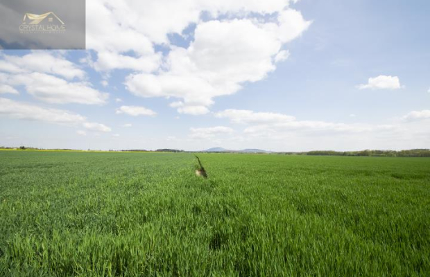 Działki Rolne pod dzierżawę