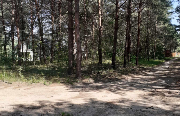 Pasym- działka z linią brzegową
