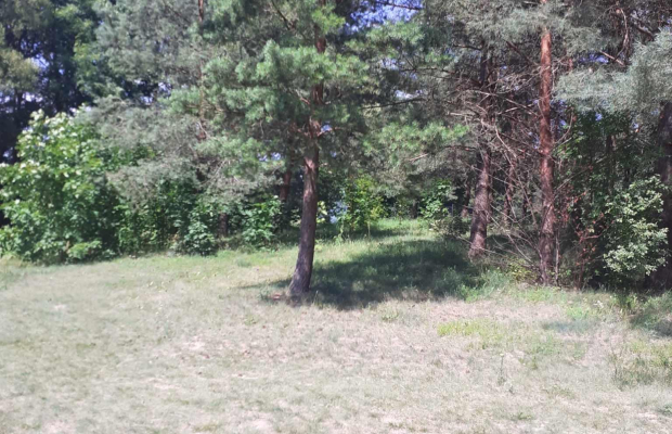 Pasym- działka z linią brzegową