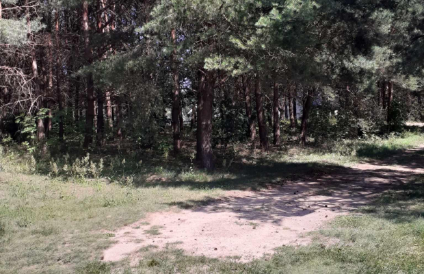 Pasym- działka z linią brzegową