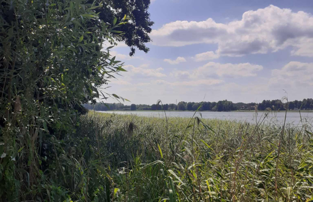 Pasym- działka z linią brzegową