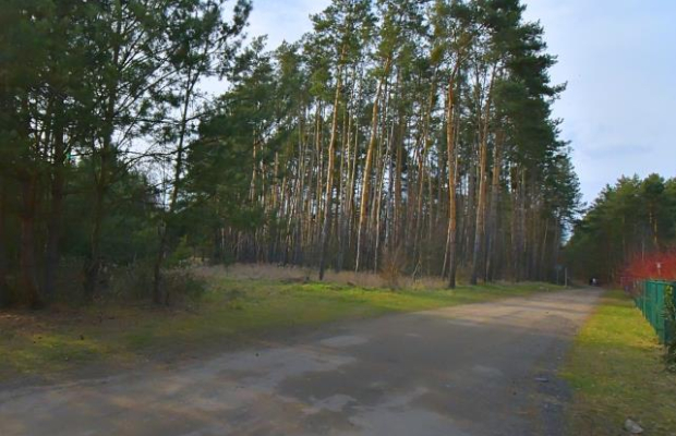 Twój dom w malowniczym zakątku, przy lesie