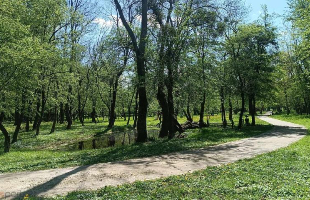 MIESZKANIE Z OGRÓDKIEM PRZY PARKU