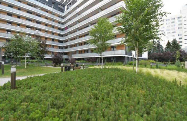 2 pokoje z klimatyzacją ul Gwiaździsta, Centrum