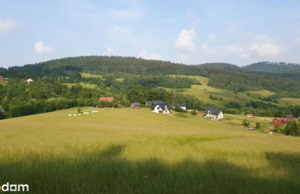 Działka w Górach Sowich