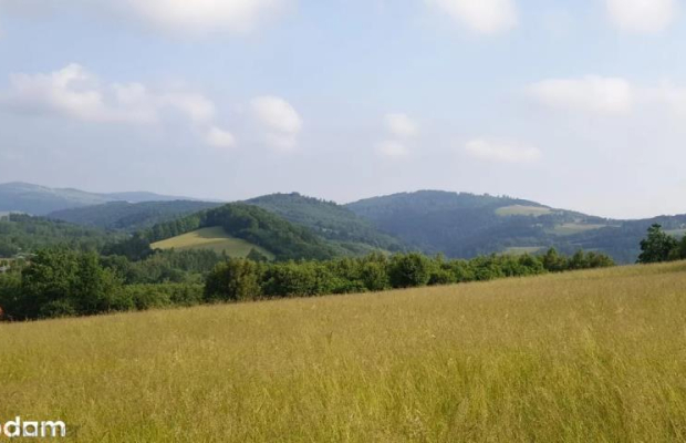 Działka w Górach Sowich
