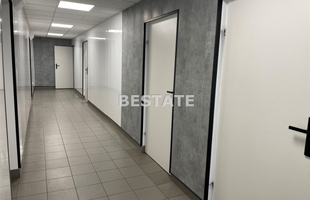 Lokale użytkowe w biurowcu Pabianice 