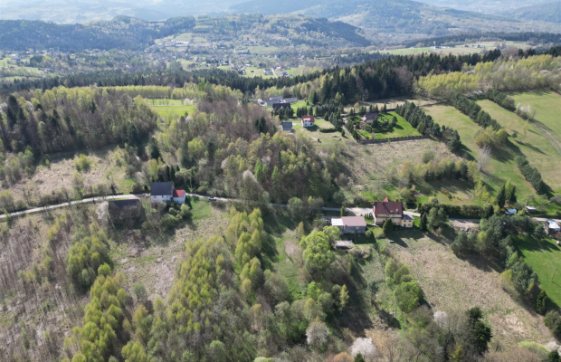 Duża działka w otoczeniu lasu, 3,5 km od jeziora