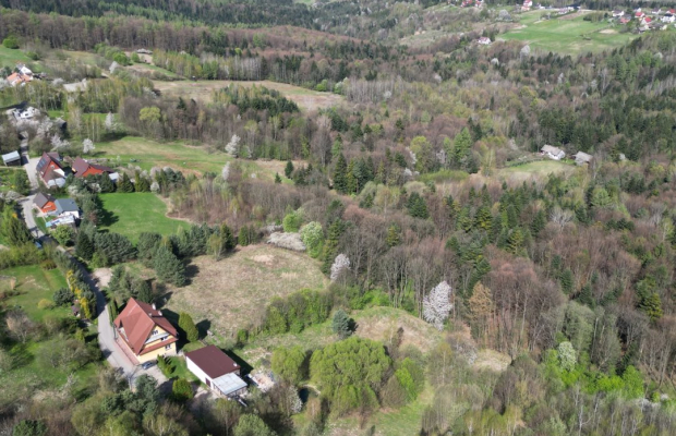 Duża działka w otoczeniu lasu, 3,5 km od jeziora