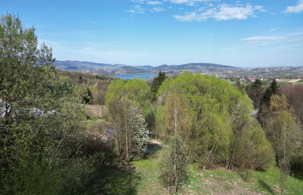 Duża działka w otoczeniu lasu, 3,5 km od jeziora