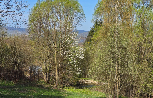 Duża działka w otoczeniu lasu, 3,5 km od jeziora