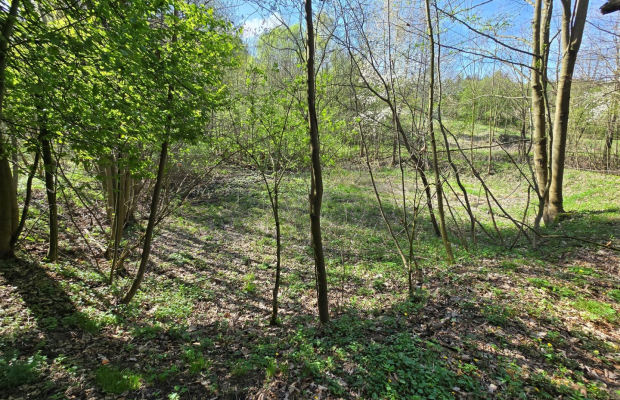 Duża działka w otoczeniu lasu, 3,5 km od jeziora