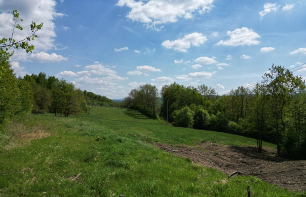 Sieraków – działka 8980 m² w otulinie lasu