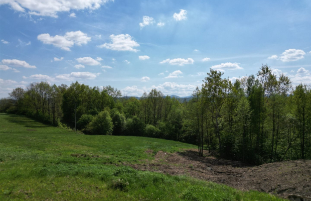 Sieraków – działka 8980 m² w otulinie lasu