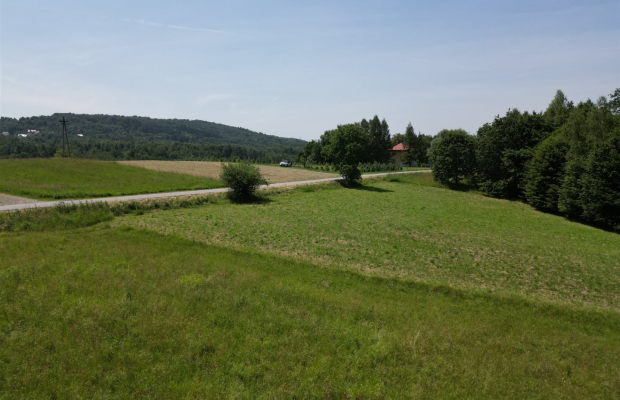 10 arowa działka 14 km od granic Krakowa