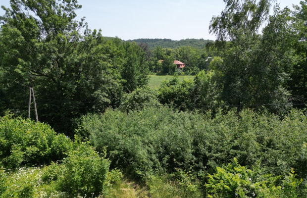 Do sprzedania duża działka z mieszkaniowo-usługowa