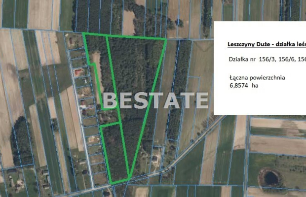 6,8 ha lasu, okolice Dłutowa