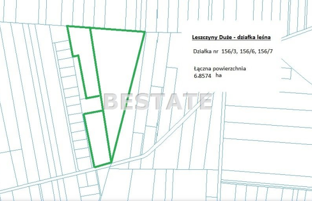 6,8 ha lasu, okolice Dłutowa