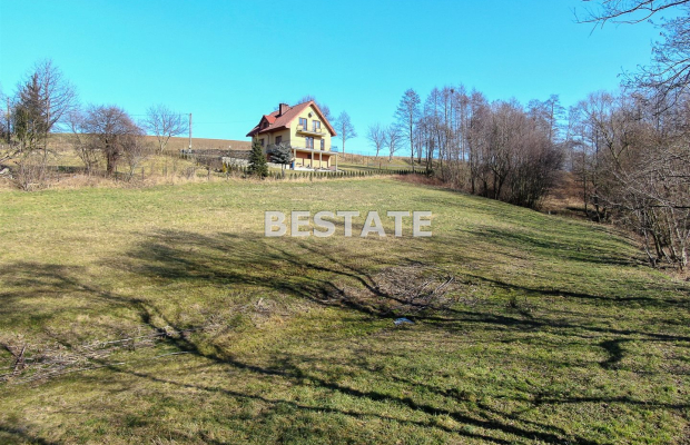 W ofercie parcela położona w miejscowości Okocim gm.Brzesko. 
Wielkości 41 arów z czego ok.13 arów zadrzewione, kształt nieregu