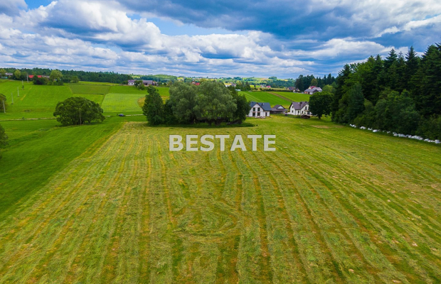 1,53 ha - Staszkówka 