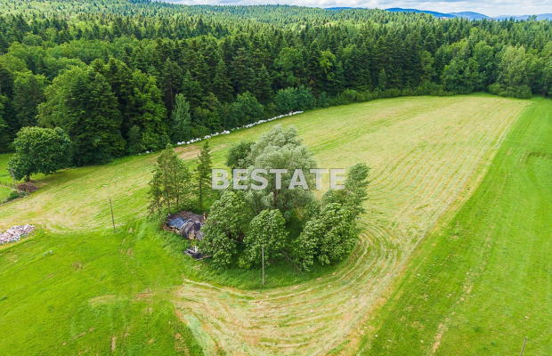 1,53 ha - Staszkówka 