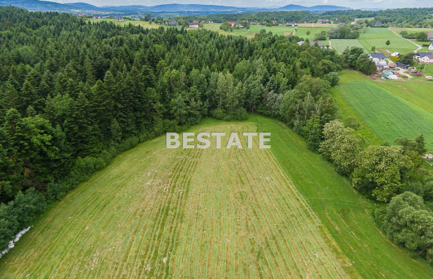 1,53 ha - Staszkówka 
