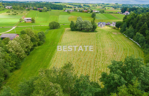 1,53 ha - Staszkówka 