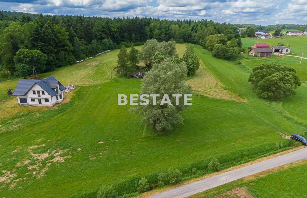 1,53 ha - Staszkówka 