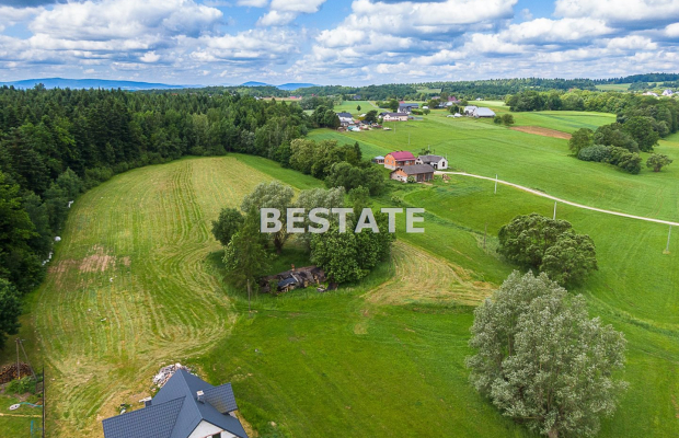 1,53 ha - Staszkówka 