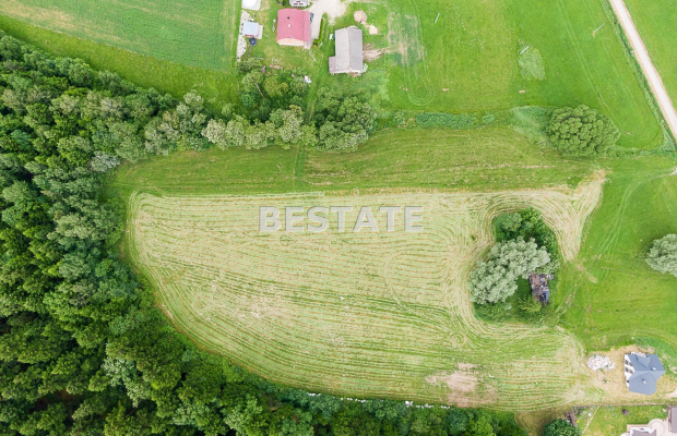 1,53 ha - Staszkówka 