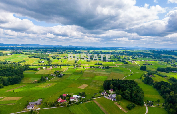 1,53 ha - Staszkówka 