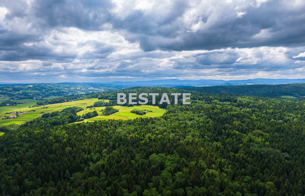 1,53 ha - Staszkówka 