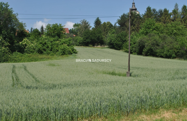 Duża działka inwestycyjna w Brzeziu gm.Kłaj