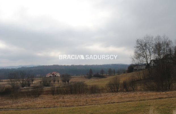 Działka zagrodowa w Głogoczowie.