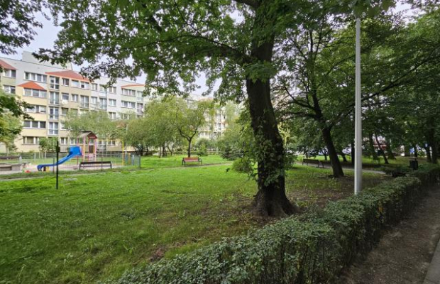 Nowa kawalerka - ul. Śliczna, od października