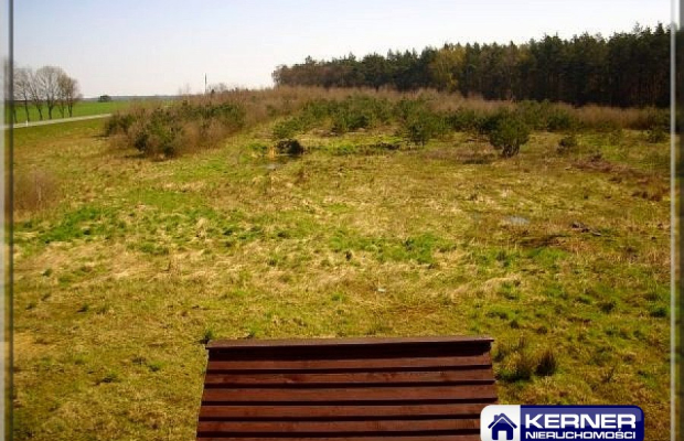 Posiadłość na DOM SENIORA, Dom Weselny 1 ha