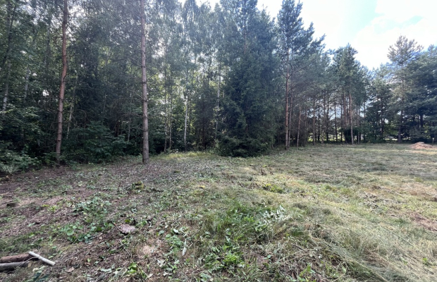Działka budowla 3117 m2 w Kowali gm. Puławy.