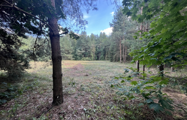 Działka budowla 3117 m2 w Kowali gm. Puławy.