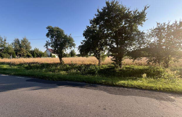 Dwie działki rolne z WZ w Helenowie gm. Policzna.