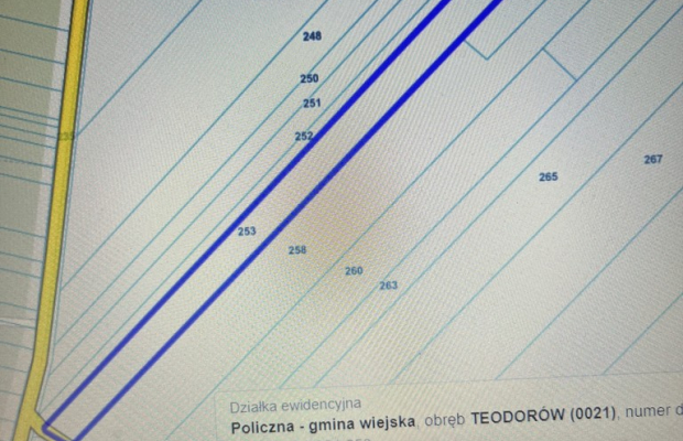 Dwie działki rolne z WZ w Helenowie gm. Policzna.