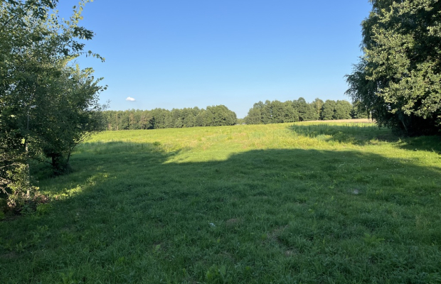 Duża działka 2,9 ha w Jabłonowie gm. Policzna.