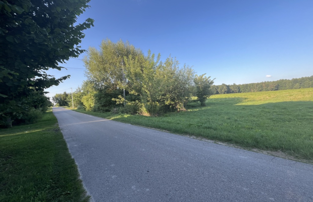Duża działka 2,9 ha w Jabłonowie gm. Policzna.