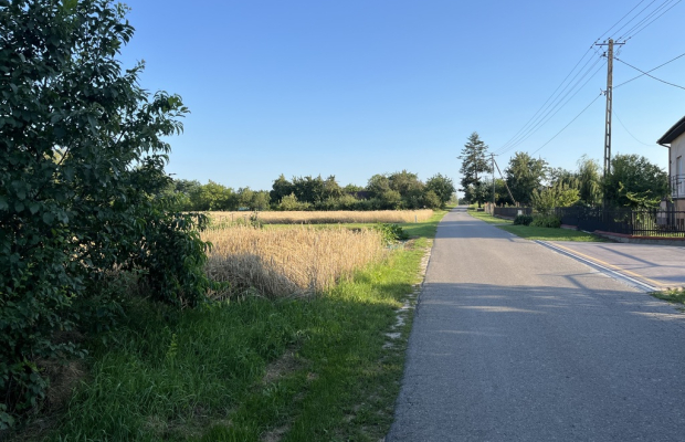 Duża działka 2,9 ha w Jabłonowie gm. Policzna.