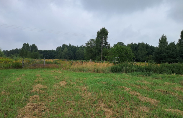 Opole Lubelskie - 1,24 ha - malownicza okolica