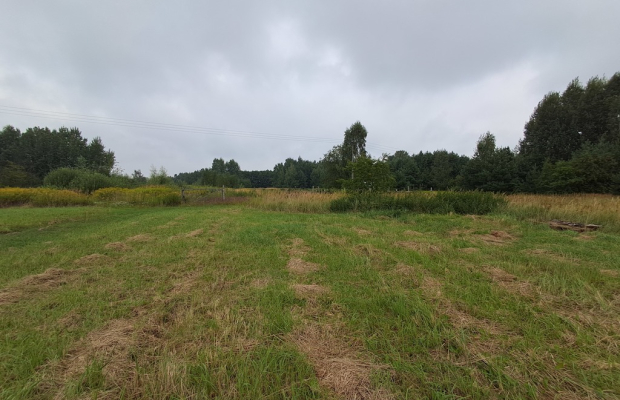 Opole Lubelskie - 1,24 ha - malownicza okolica