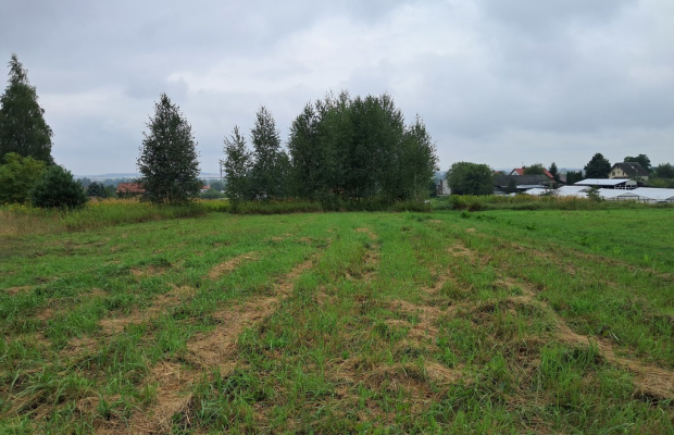 Opole Lubelskie - 1,24 ha - malownicza okolica